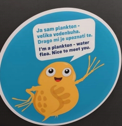 FB IMG 1624471441275