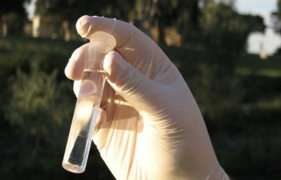 Screenshot 20230728 141133 Chrome