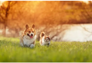 Snimka zaslona 2023 11 15 141600