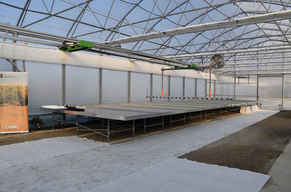 rck panonika završna 1