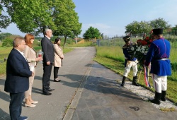 vijenac za Dan Europe